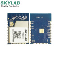 SKYLAB esp8266 ethernet digital i/o 2.4ghz wireless transmitter receiver wifi module